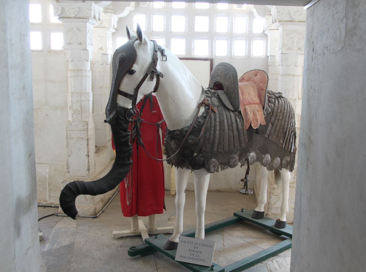 “J’ai été le cheval de parade de la psychanalyse…”